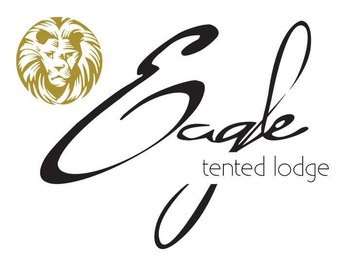 Eagle logo1