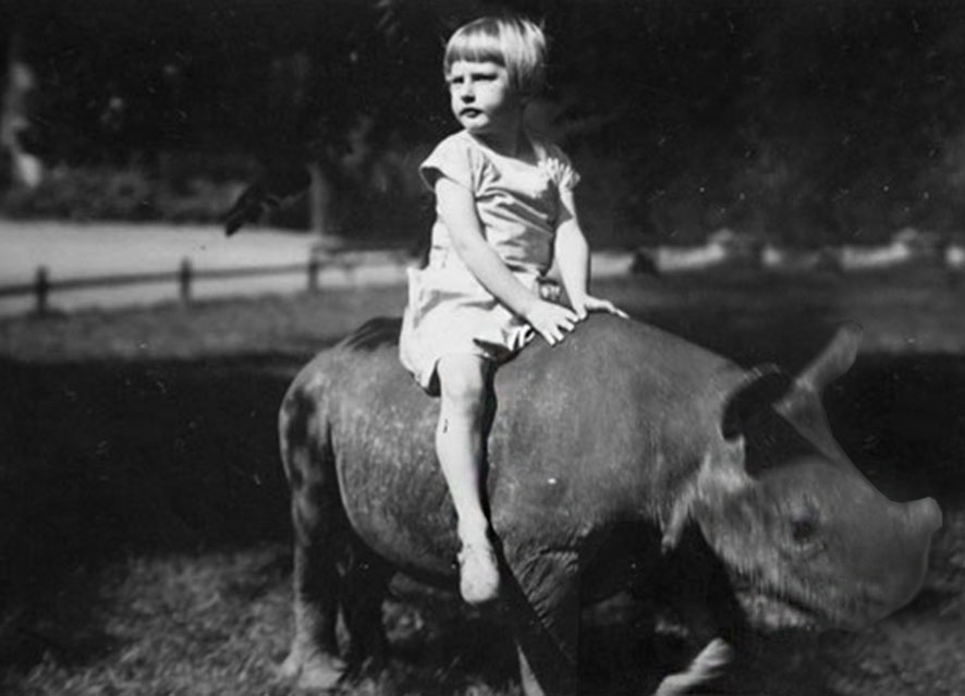 Nashorn Nashorn